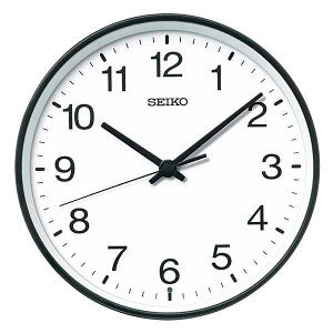 dgNbN |v SEIKO ZCR[ KX268K