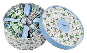 EFbWEbh Ch Xgx[ eB[obO WSN-36P