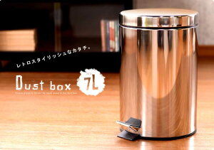 _Xg{bNX7LiijDST-7LiE[J[iEisj