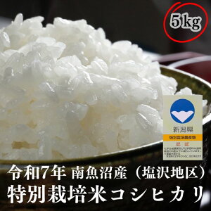 ߘa7NxY@V@싛Y@@ʍ͔|ā@RVqJ@VF؁@5kg@ā@ā@_