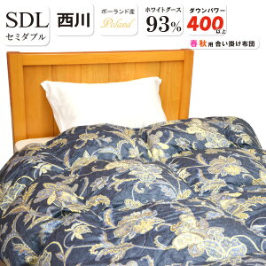 y݌Ɍzs [Y Hэ|zc Z~_u |[hY zCg O[X 93 1.0kg ̃Lg _Ep[400 | zc tH~p O[X_E 100 Te  H