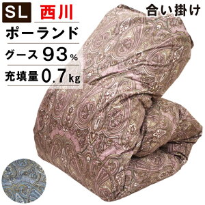  Hѕzc |zc VOOTCY |[hYzCgO[X_E93 H0.7kg ̃Lg { O[X_E 100 t H ~ |zc HтӂƂ Hъ|z