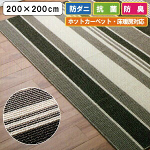 _j GXP[vO { O 200×200cm ` h_j R hL A[X O ~ rO _j AM[ Esgp hL zbgJ[ybg g[ Ή