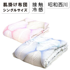 楽天市場】西川 テクニーHW【2500円抗菌防臭加工無料】【正規品1年保証 