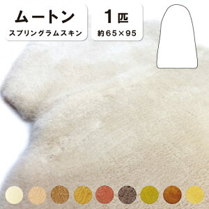 RۖhLH y1Czyђ28mmz65×95cm { XvOXL [g ֎q `FA[ \t@[ V[g xbh xr[xbh [gV[c БCc }X_ [g