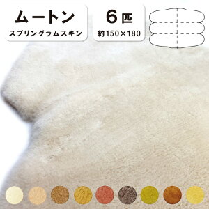 RۖhLH y6Czyђ28mmz150×180cm { XvOXL [g Z^[O \t@[ V[g \t@[ CX ~ [gV[c БCc }X_ [g