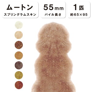 RۖhLH y1Czyђ55mmz65×95cm { XvOXL [g ֎q `FA[ \t@[ V[g xbh xr[xbh [gV[c