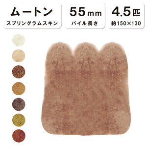 RۖhLH y4.5Czyђ55mmz150×130cm { XvOXL [g \t@[ V[g \t@[ CX ~ [gV[c