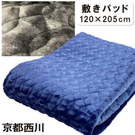 抗菌防臭加工無料 京都西川 冬用 敷きパッド 毛布 西川 セミダブル 120×205cm 洗える 4か所ゴム付き 冬用 敷きパッド毛布 暖か 毛布 ウォッシャブル なめらか 起毛 あたたか やわらか 静電気抑制 ローズカーボ