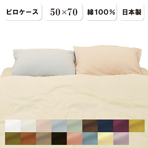 _uK[[ sP[X 50×70cm { an 100 aNӂK[[ _uK[[ n aN K[[n \tgK[[ qp \tg^b` VRRbg VRf aNӂ