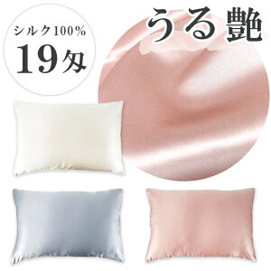 VN100 19Te 鉐 sP[X 43×63cm Jo[ t@Xi[