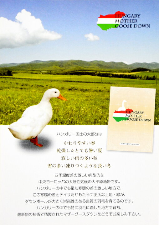 楽天市場】羽毛合い掛け布団 ハンガリー産 ホワイトマザーグースダウン  