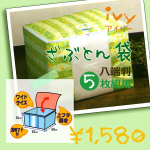 yhEhJrERۉHzzc ([5[) ԂƂ ivy ACr[ sDz 