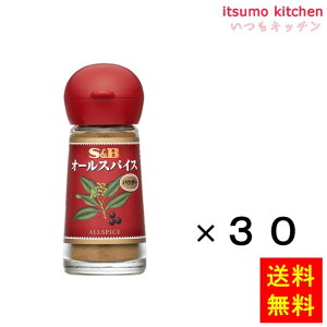 yzSBI[XpCXpE_[ 13gx30{ GXr[Hi