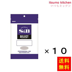 yzZNg IKmipE_[j100gܓ 100gx10 GXr[Hi