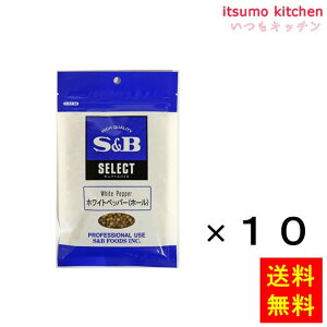 yzZNg zCgybp[iz[j100gܓ 100gx10 GXr[Hi