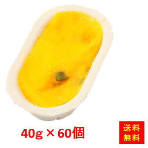 Ⓚ yz FMO^(40)Yڂ 40gx60 xXg