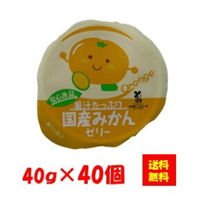 Ⓚ yz 26587x40 Si ʏ`Ղ荑Y݂[[(VC&Fe) 40gx40 j`Ct[Y