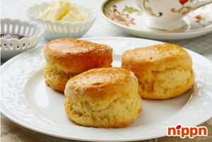 �����Y���͏����� �e 900g �j�b�v��