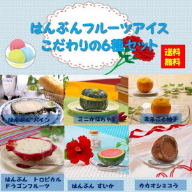 ＜冷凍＞ 【送料無料】 set0053リセ　はんぶんフルーツアイス　こだわりの6種セット