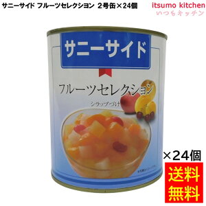 yz ʋl Tj[TCh t[cZNV 2 850g×24 t[c Ό ʋl