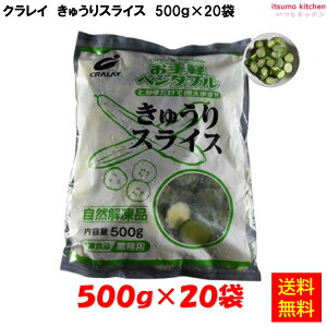 Ⓚ yz イXCX (֐؂) 500gx20 NC [P[X̔]