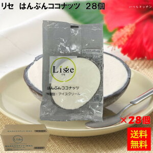 Ⓚ yz 16026x28 Z ͂ԂRRibc 28 Lisse [P[X̔]