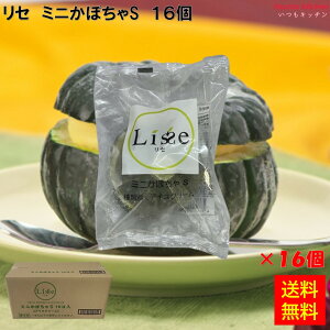 Ⓚ yz 16027x16 Z ~j ڂ S 16 Lisse [P[X̔]