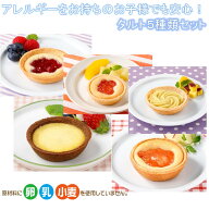 ＜冷凍＞ 【送料無料】 set0006 アレルギーをお持ちのお子様も安心！タルト5種x2個セット 日東ベスト