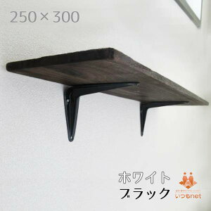 250mm×300mm LI󂯋 250