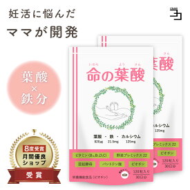 葉酸サプリ 無添加 17種 産婦人科医推奨 命の葉酸 ベータカロテン不使用 飲みやすい3mmサイズ 妊活 葉酸サプリ 妊活サプリ 葉酸 産前 産後 生理不順 2個セット 240粒 (1袋120粒) 一日4粒目安