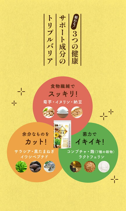 楽天市場】＼ 10%OFF☆期間限定 ／ 血糖値 サプリ 菊芋 イヌリン 食物 