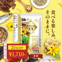 ＼ 25％OFF★7月最後のセール ／ 血糖値 サプリ 菊芋 イヌリン 食物繊維 コンブチャ サラシア ナットウキナーゼ ダイエットサプリ 糖質 吸収 抑える ラクトフェリン イワシペプチド 多殻麹 黒たまねぎ サラリッチEX 180粒 一日6粒目安