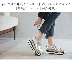  Xj[J[ fB[X ₷ q[6.5 Cq[ ꂢ C  [t@[ [XAbvV[Y V[Y \[    y 22.0 22.5 23.0 23.5 24.0 24.5