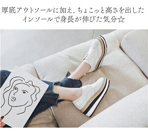  Xj[J[ fB[X ₷ q[6.5 Cq[ ꂢ C  [t@[ [XAbvV[Y V[Y \[    y 22.0 22.5 23.0 23.5 24.0 24.5