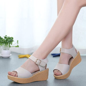 T_ fB[X  EFbW\[ RtH[gT_ 傫TCY26.0 q[T_ nCq[ TCY21.5 q[6.5 Sn悢  EFbW T_ r 