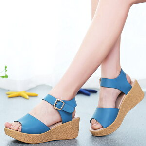 T_ fB[X  EFbW\[ RtH[gT_ 傫TCY26.0 q[T_ nCq[ TCY21.5 q[6.5 Sn悢  EFbW T_ r 