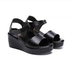 EFbW\[ T_ fB[X ₷   ꂢ RtH[gT_ 傫TCY q[T_ nCq[ TCY q[6 Sn悢  E