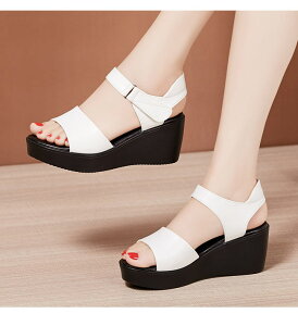 EFbW\[ T_ fB[X ₷   ꂢ RtH[gT_ 傫TCY q[T_ nCq[ TCY q[6 Sn悢  E