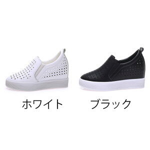 fB[XV[Y Xj[J[ C Xb| ɂȂ ₷ RȂXj[J[ EH[LO JWA jOV[Y Cq[Xj[J[ nCJbg V[Y fB[X