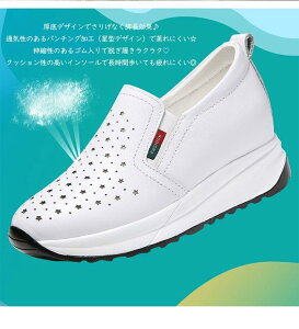 Xj[J[ Xb| fB[X y p`O bV ʋC ₷ C   ɂ 22.5`25.0cm