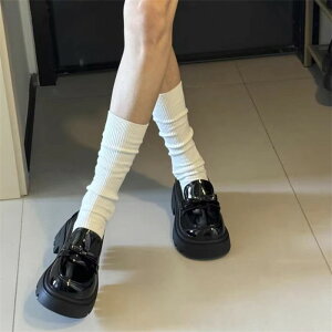 [t@[ fB[X tbgV[Y vC ₷ ₷  ʋ ʊw  w Ǝ V[Y ubN