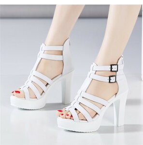 T_ fB[X ₷ q[10 T}[u[c q[ xg OfBG[^[ 傫TCY RtH[gT_ T_ nCq[ Xg[ Sn悢 T