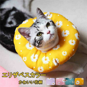 GUxXJ[ Lp p \tg 炩 Ȏ y p _炩 wXPA ی rߖh~ ޖh~ 畆a D pEFA K \ ی rߖh~ ~h~ 