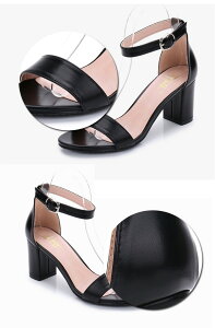 T_ fB[X EȂ XgbvT_ q[ \q[ q[5cm nCq[ 7cm ɂȂ ₷ ʋ Vv ꂢ  ubN  x[W zCg  