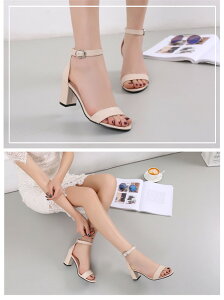 T_ fB[X EȂ XgbvT_ q[ \q[ q[5cm nCq[ 7cm ɂȂ ₷ ʋ Vv ꂢ  ubN  x[W zCg  