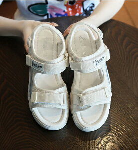 EFbW\[ X|[cT_  fB[X 킢 IV r 傫TCY TCY q[5cm W[p ][g ^EpT_ r Sn JWA C l 