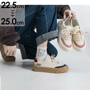 Xj[J[ fB[X V[Y JWA EH[LOV[Y sN u[  킢 傫TCY ₷ s ʋ ʊw lC C  Vv n r gA