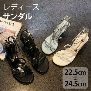 XgbvT_  ؚT_ fB[X tX ׃Xgbv ɂȂ ₷ EhgD i ꂢ  zCg u[ ubN ʋ ItBX o f