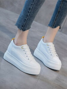 Xj[J[ fB[X  Cq[ EFbWq[ C\[ X|[eB TCY V[Y C r ʋ ʊw   JWA ₷   ba009n1n1m5